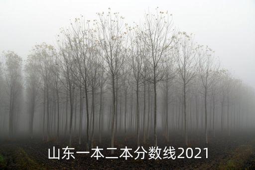 山東二本分?jǐn)?shù)線，山東今年二本線是多少