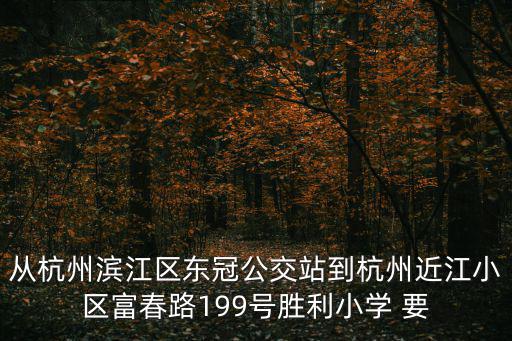 從杭州濱江區東冠公交站到杭州近江小區富春路199號勝利小學 要