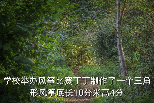 風箏比賽，學校舉辦風箏比賽丁丁制作了一個三角形風箏底長10分米高4分