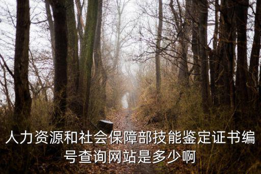 職業技能鑒定資格證書查詢系統，怎么查詢自己的職業技能等級證書