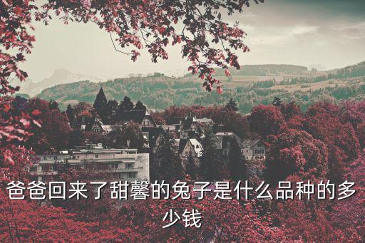 冰墩墩多少錢，民國涼墩刁瓷多少 錢
