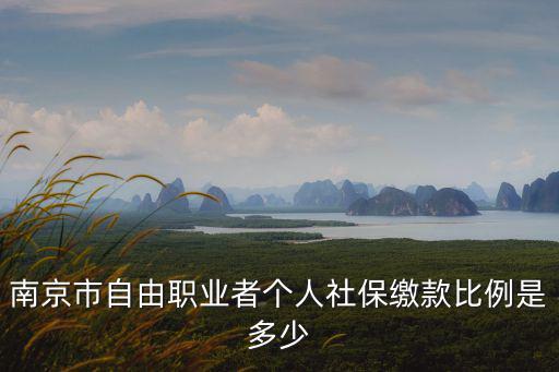 南京社保繳費(fèi)比例，南京市自由職業(yè)者個(gè)人社保繳款比例是多少
