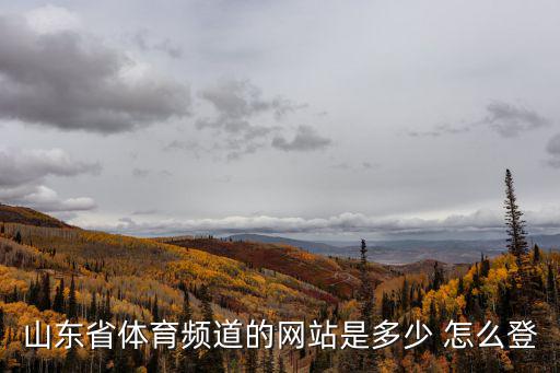 山東省體育頻道的網站是多少 怎么登