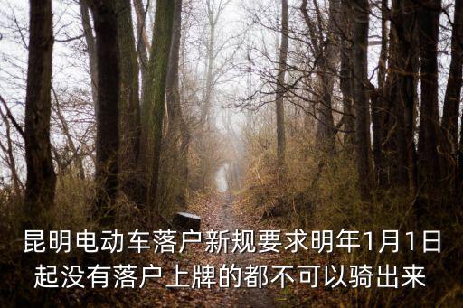昆明電動車落戶新規要求明年1月1日起沒有落戶上牌的都不可以騎出來