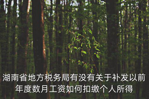 湖南省地方稅務局有沒有關于補發以前年度數月工資如何扣繳個人所得