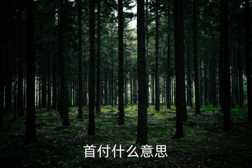 首付，首付什么意思
