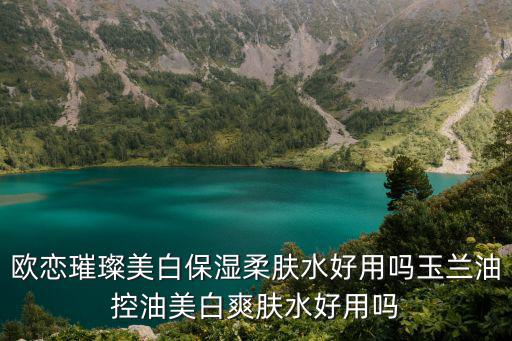 歐戀璀璨美白保濕柔膚水好用嗎玉蘭油控油美白爽膚水好用嗎