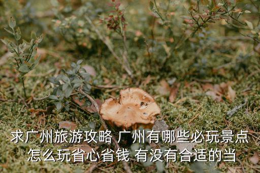 求廣州旅游攻略 廣州有哪些必玩景點 怎么玩省心省錢 有沒有合適的當