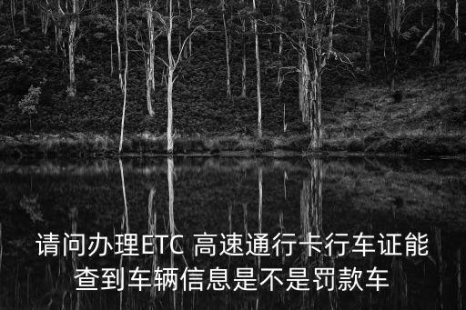 請問辦理ETC 高速通行卡行車證能查到車輛信息是不是罰款車