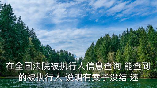 在全國法院被執行人信息查詢 能查到的被執行人 說明有案子沒結 還