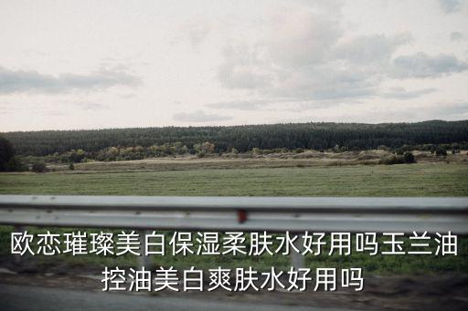 歐戀，買一瓶歐戀的精華液大概需要多少錢