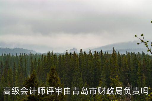 高級會計師評審由青島市財政局負責嗎