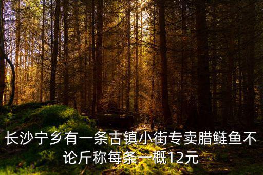 道林古鎮(zhèn)，從長沙西站到道林鎮(zhèn)要多久