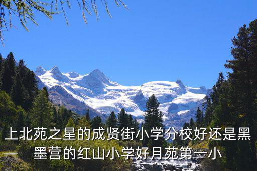 成賢街小學，南京成賢街小學和新南師附中新城小學選哪個呢糾結啊