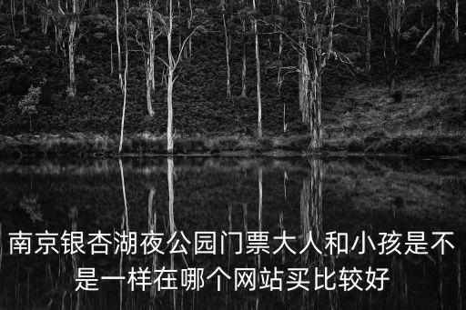 南京銀杏湖夜公園門票大人和小孩是不是一樣在哪個(gè)網(wǎng)站買比較好