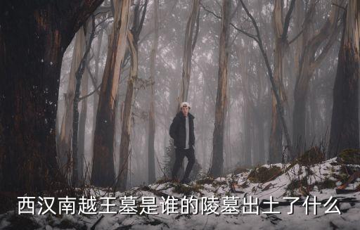 西漢南越王墓，廣州市西漢南越王墓的墓道前室外藏室各出土了什么文物