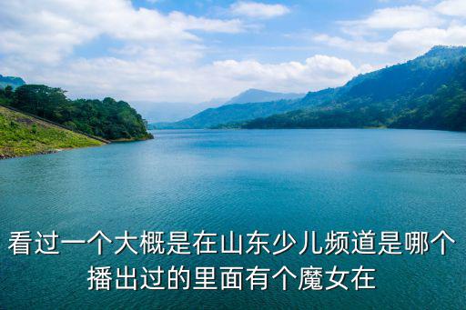 看過一個大概是在山東少兒頻道是哪個播出過的里面有個魔女在