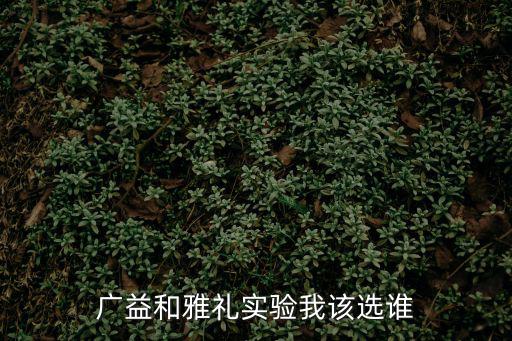 雅禮實驗，雅禮實驗中學在哪里