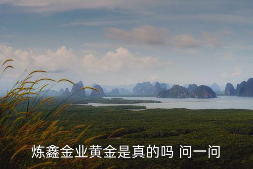 煉鑫金業(yè)黃金是真的嗎 問一問