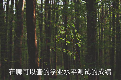 學(xué)業(yè)水平考試成績查詢系統(tǒng)，聊城市高中學(xué)業(yè)水平測試成績查詢網(wǎng)站