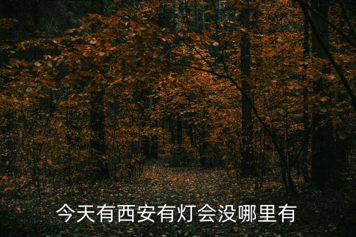 今天有西安有燈會沒哪里有