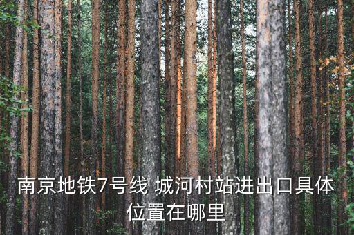 南京地鐵7號(hào)線 城河村站進(jìn)出口具體位置在哪里
