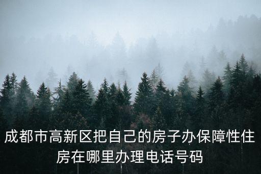 高新區住房保障，石家莊市高新區房產管理局在哪
