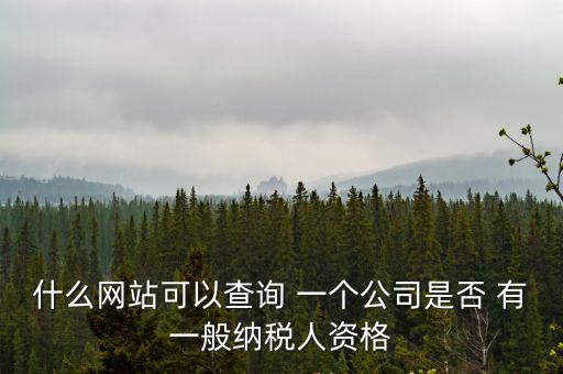 什么網站可以查詢 一個公司是否 有一般納稅人資格