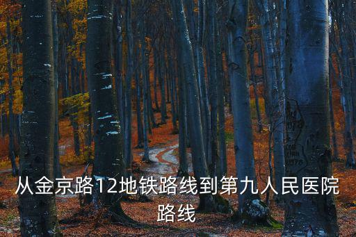 從金京路12地鐵路線到第九人民醫院路線