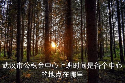 武漢市公積金中心上班時間是各個中心的地點在哪里