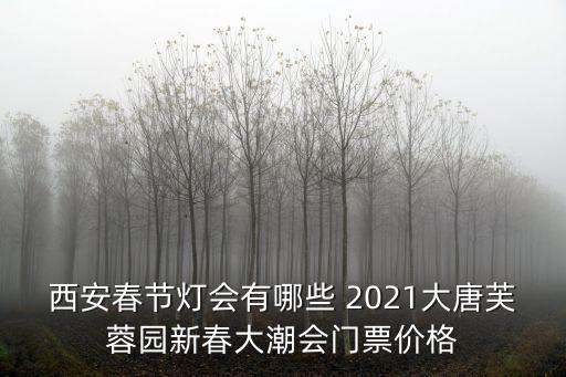 西安春節燈會有哪些 2021大唐芙蓉園新春大潮會門票價格
