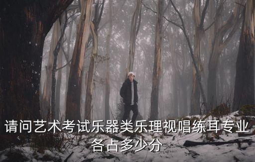 請問藝術(shù)考試樂器類樂理視唱練耳專業(yè)各占多少分