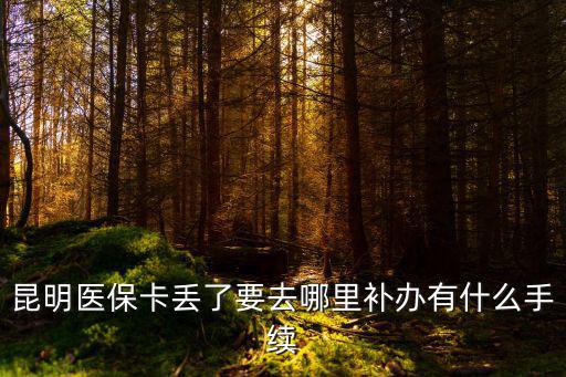 醫(yī)保卡在哪里補(bǔ)辦，昆明醫(yī)保卡丟了要去哪里補(bǔ)辦有什么手續(xù)