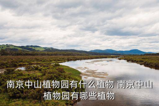 南京中山植物園有什么植物 南京中山植物園有哪些植物