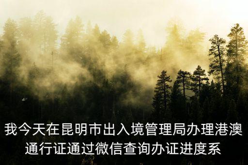 出入境，我今天在昆明市出入境管理局辦理港澳通行證通過微信查詢辦證進度系