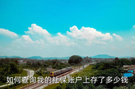 如何查詢我的社保賬戶上存了多少錢