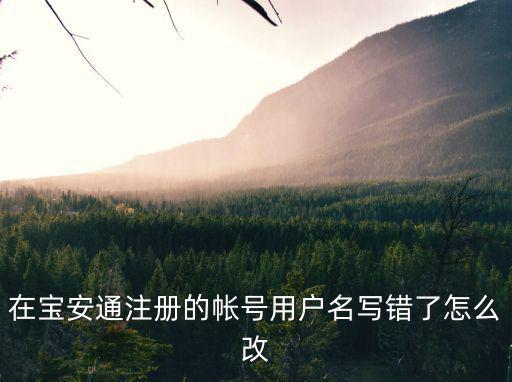 在寶安通注冊的帳號用戶名寫錯了怎么改
