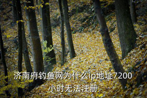 濟南釣魚網，各位老師濟南北部哪里有斤池