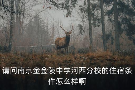 請問南京金金陵中學河西分校的住宿條件怎么樣啊