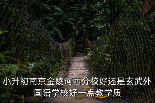 小升初南京金陵河西分校好還是玄武外國語學校好一點教學質