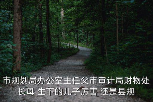 市規(guī)劃局辦公室主任父市審計(jì)局財(cái)物處長母 生下的兒子厲害 還是縣規(guī)