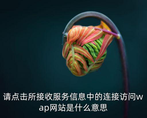 長沙商事服務信息平臺，請點擊所接收服務信息中的連接訪問wap網站是什么意思