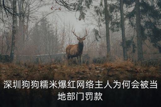深圳狗狗，深圳買寵物狗去哪里買好