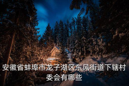 安徽省蚌埠市龍子湖區(qū)東風(fēng)街道下轄村委會(huì)有哪些