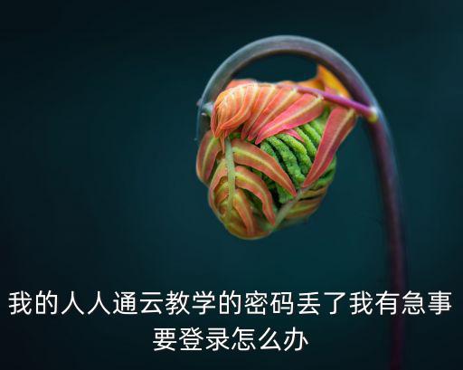 人人通教育平臺登錄，如何登錄人人通云教學