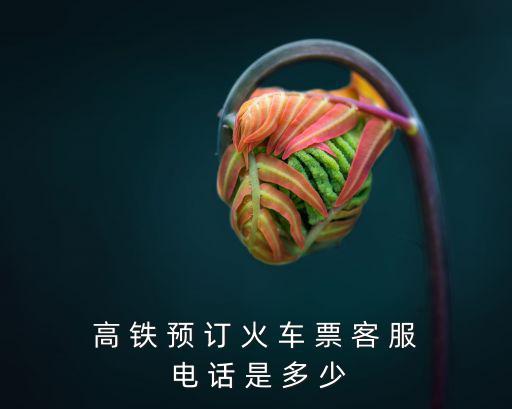 高 鐵 預(yù) 訂 火 車 票 客 服 電 話 是 多 少