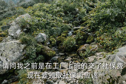 社保卡申領，辦理社會保障卡申請