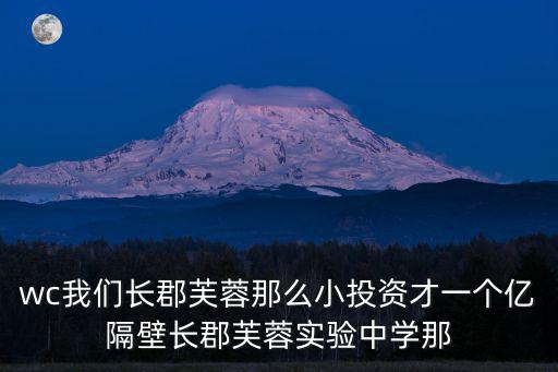 wc我們長郡芙蓉那么小投資才一個億隔壁長郡芙蓉實驗中學那