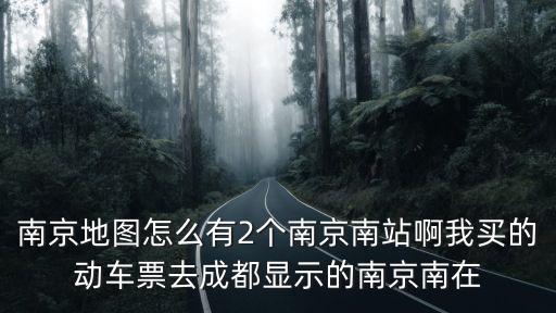 南京地圖怎么有2個(gè)南京南站啊我買(mǎi)的動(dòng)車(chē)票去成都顯示的南京南在
