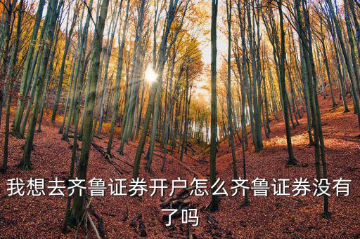 我想去齊魯證券開戶怎么齊魯證券沒有了嗎